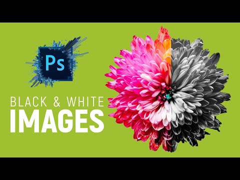 Learn convert an image Black & White in Photoshop cc 2019 – Urdu / Hindi