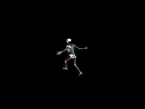 Biomechanical Human Simulation: Dance
