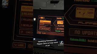The process of updating firmware on Flipper Zero looks like a truly work of art #flipperzero