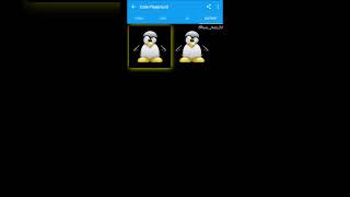 box shadow VS drop shadow #youtubeshorts #html #coding #webanimation #shorts #shadow #css #image