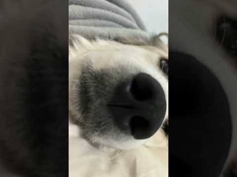 Send this to your mother  if you like  YouTube and TikTok 