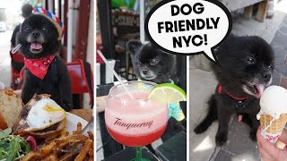 Bring Your DOG To These Restaurants In NYC!