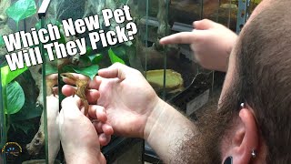 Let's Spy on TDI! -- Ball Python Puns 🐍, Monster Plants, & More Weekend Fun! 😎