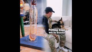 The Branches Pet Their Dog... #shorts