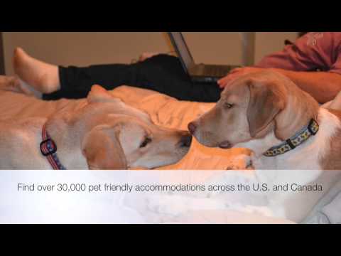 Pet Friendly Hotels Durham, North Carolina