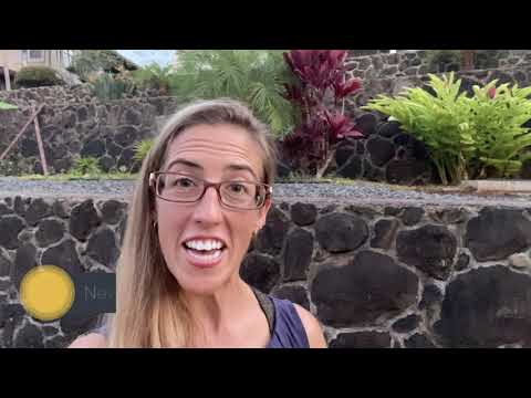 2020 Palmetto BAD Trailer - Jamie Champagne KeyNote: Life is Meant to Be Fun!