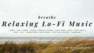 🎶 🎶 🎶No Lyrics Music Playlist: Music Lofi Chill: 2024 Music Collection #13