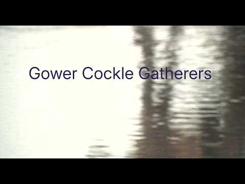 Gower Cockle Gatherers