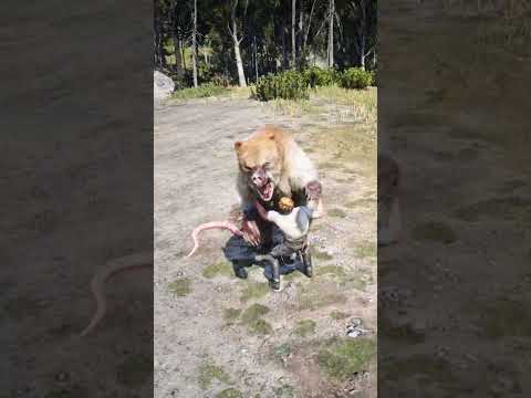 ULTIMATE SURVIVAL SKILLS V28 #shorts