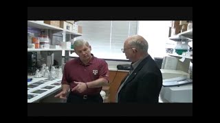 Aflatoxin Preclinical Trials