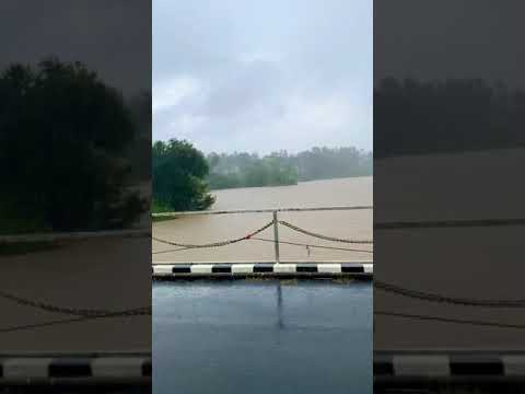 Maruti Suzuki Ertiga driving in Coorg 🌈