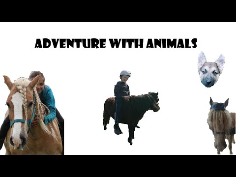 Adventure with animals