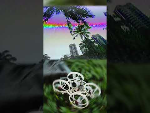 TRIPPY SPIN DAY | 65mm WHOOP #shorts #fpv #freestyle