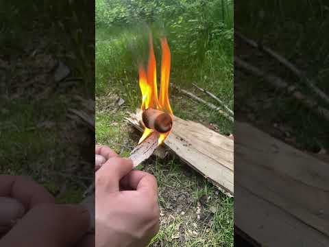 Петербург! #Залепательноевидко #Береза #Поджигание #ЗамедленноеВидео #Одуванчик #Природа