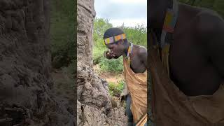 Baobab tree water 💦🤤 #shorts #trendingshorts