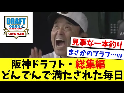【ドラフト】2023年・阪神ドラフト！どんでんで満たされた毎日www