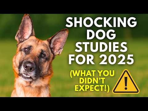 New Dog Studies for 2025 (MUST KNOW)