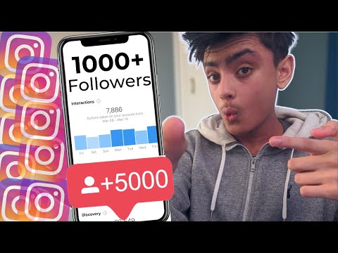 0 to 1000 Active INSTAGRAM FOLLOWERS Speedrun - Challenge