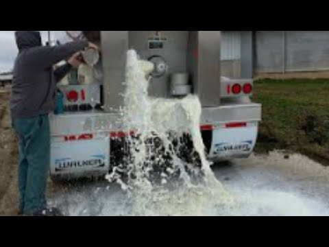 food shortage why is everything empty farmers dumping milk