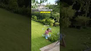 SolarPowered Smart Cam No False Alarms Customizable Notifications and Free Storage