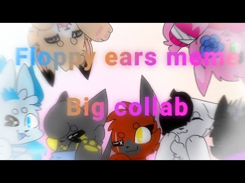 •Floppy ears meme• (Big collab)