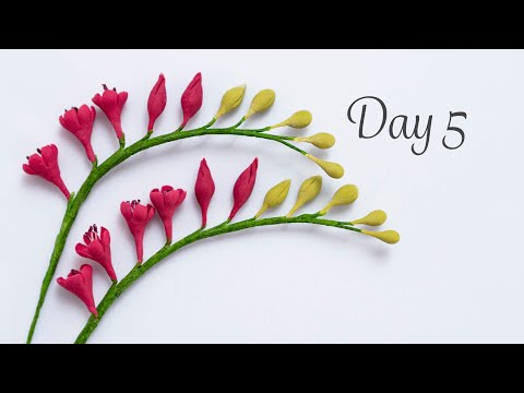 Freesia | Day 5 | 30 Days of Sugar Flowers