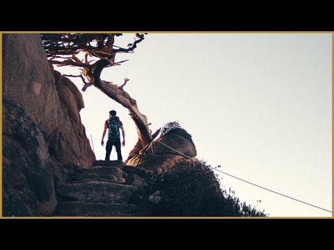 Excelling In Hardships - 05 Experience Growth in Tough Times