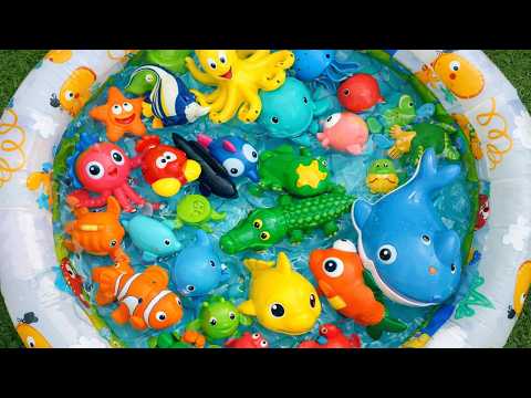 So Many Sea Animals! 🐙 Learn Names & Fun Facts with Toys