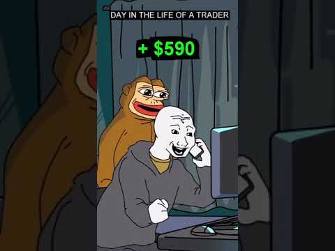 day in a life of a trader
