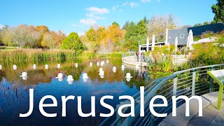 Jerusalem in Winter — Incredible Beauty. From Damascus Gate to the Botanical Garden.