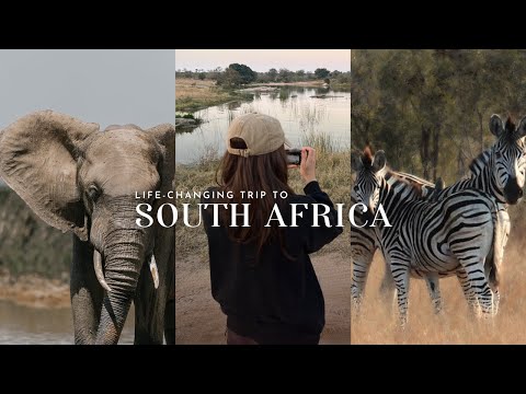 SOUTH AFRICA | incredible safari & honeymoon in kruger, cape town, and franschhoek