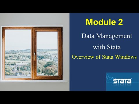 3 Basic #Stata interfaces for managing data