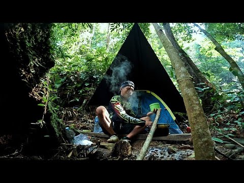 DESPERATELY Entering the Forest at Night Alone Camping Fishing in the Kalimantan Forest