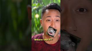 Sprinter: The Multichain Toolkit Every Crypto Dev Needs! #crypto #blockchain #nft #crosschain