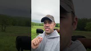 #localfarms send business to local butchers/local processing plants and even local grocery stores.