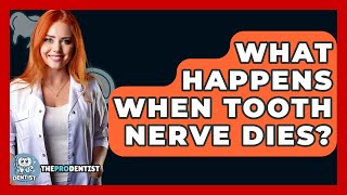 What Happens When Tooth Nerve Dies? - The Pro Dentist