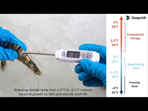 Delivering Shrimp from Heaven! A Deepchill webinar for shrimp producers