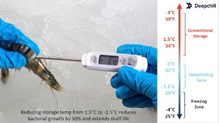 Delivering Shrimp from Heaven! A Deepchill webinar for shrimp producers