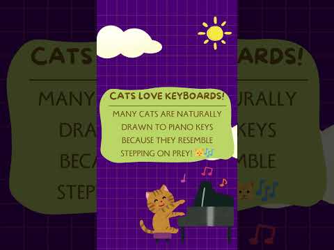 Fun Facts about Piano