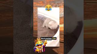 😂 Vid Credit:@Medazelli☔️ #memes #memeking #funny