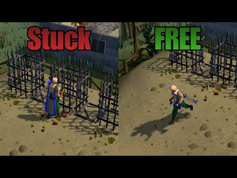 I'm Tired Of The Rat Race (And Here Is My Exit Plan)