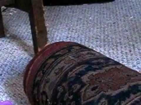 Bedroom Weasel I