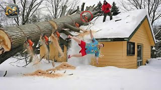 Idiots With Chainsaws: Tree Cutting Fails | Extreme Dangerous Logging Truck Fails #24