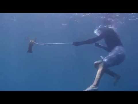 Catching a lobster