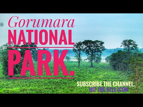 Vlog-5 II Gorumara National Park II The call of the forest. II