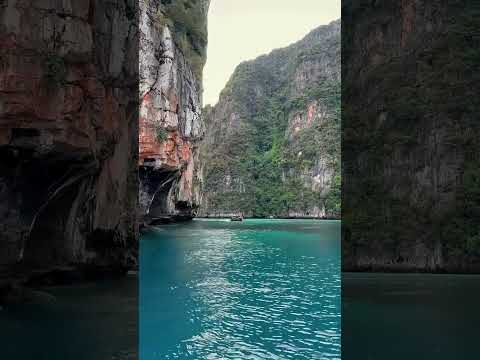 #travel #goatrip #nature #goavacation #goatravel #mountains #goatour #vlog #love