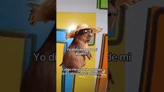 🫣😃 #humor #memesespañol #musica #comedia #undíamás