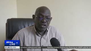 Burkina Faso temporarily suspends export of raw cashew nuts to promote local processing