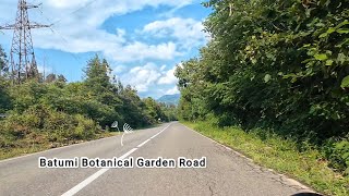 Lush Mountain Descent: Batumi Botanical Garden Road | 5-Minute Scenic BIKE RIDE, Georgia