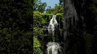 Why Empathy Matters More Than Ever